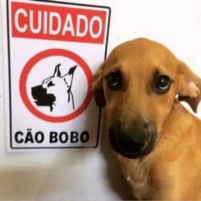 vitorrxduart's profile picture. 