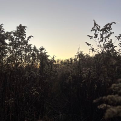 HubertKacpercz1's profile picture. 