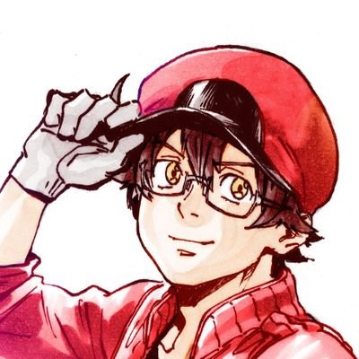 _cellpone_'s profile picture. 🇭🇺; 20 ; they/any —
neuroscience enjoyer 🧠
public transportation enthusiast 🚎🚌