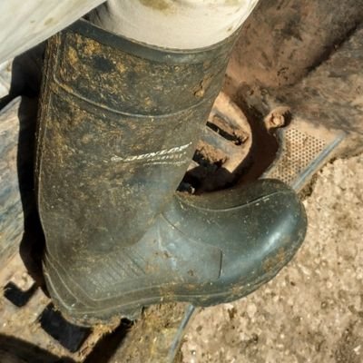 rampantfarmer's profile picture. 