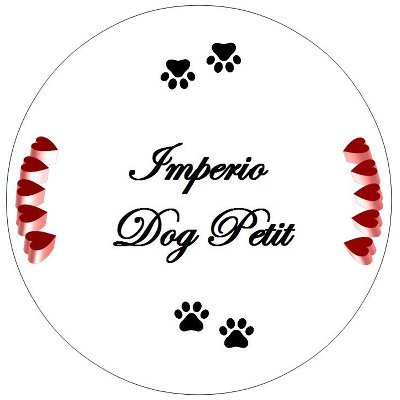 ImperioDogPetit's profile picture. 💎𝘾𝙡𝙤𝙩𝙝𝙚𝙨 & 𝘼𝙘𝙘𝙚𝙨𝙨𝙤𝙧𝙞𝙚𝙨 | 𝘿𝙤𝙜𝘽𝙤𝙪𝙩𝙞𝙦𝙪𝙚💎 
📍🇪🇦🇺🇲
🐶𝗜𝗚 https://t.co/e3IegJTwR3
📦👇Shop Online