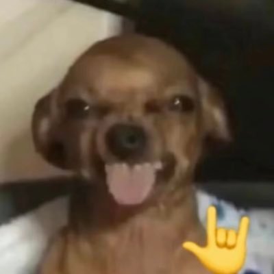 StanleyLia71803's profile picture. all in web3 #SOL BOME MAXI