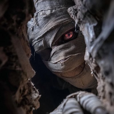 timoofficial777's profile picture. Trying to make it official | JW citizen | Car dealer | Phone & laptop accessories