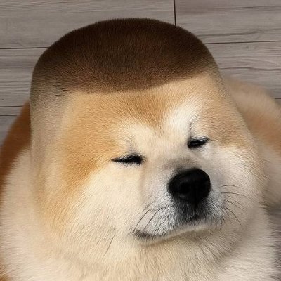 OldBorov's profile picture. Офіцер одного цікавого батальйону, який ніколи не повертався в метро з вечірньої молитви