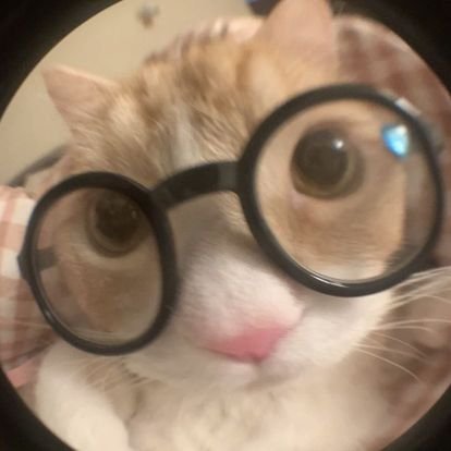 w6vzz's profile picture. 