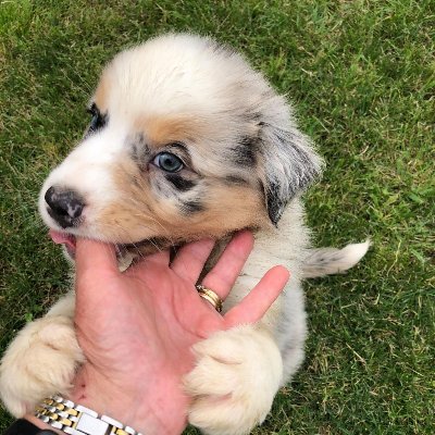 Elizabe58646393's profile picture. Love my Superman Father at 95+My Hero, My inspiration & My strength! TY Dad! Love Gizmo & all Animals.100% Conservative. Love PDJT! NO DMS!