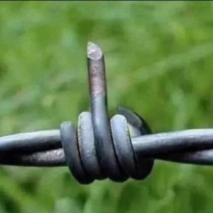 si_pdm's profile picture. Ex imunizado cognitivo.
Todo homem quer ser rei... todo rei quer ser Deus... mas só Deus quer ser homem!