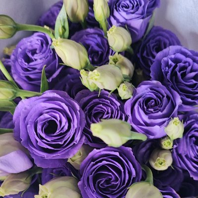 bevrivera_'s profile picture. perpetually sleepy