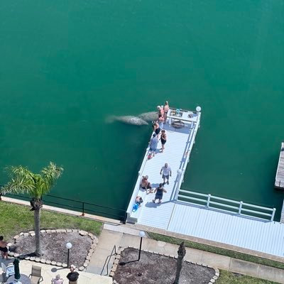 SirEroticism's profile picture. Just entertaining myself