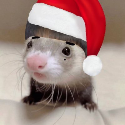 hyunebuns's profile picture. you're so beautiful, do you like soup?