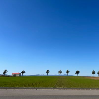 6zinm's profile picture. 