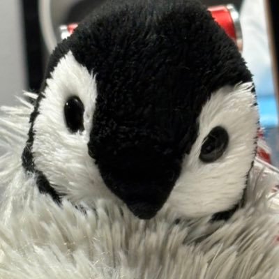 nrkBz's profile picture. ミニリュウが大好き！超雑多しょうもな垢/B'z(ﾋﾞｰﾊﾟ2017〜)/ドゥル💜(2024〜)/fgo/マリオカート/成人済み腐/夢/ヲタク