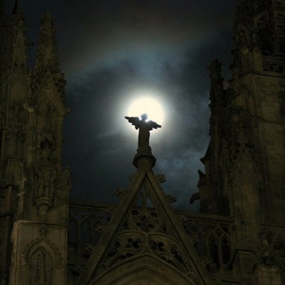 c1apie's profile picture. stl chamber terrorist @Rosie2Icy @_hrtbreakhotel @ihavenoaura