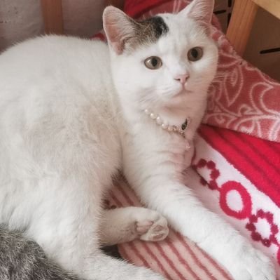 JasmineYou60097's profile picture. 