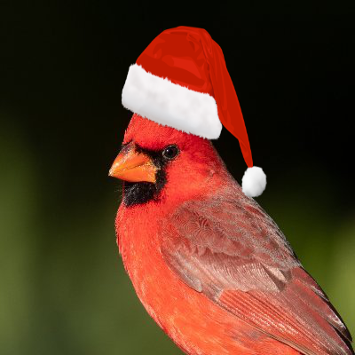 Antenna137's profile picture. CEO @ Sonnenco