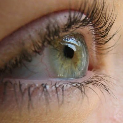 kezia_jose's profile picture. 👑 Seeking to be a Kingdom Woman.