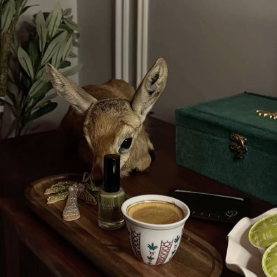 Si2iiu's profile picture. غزال إنسٍ يفوق سائر الغزلان❣️