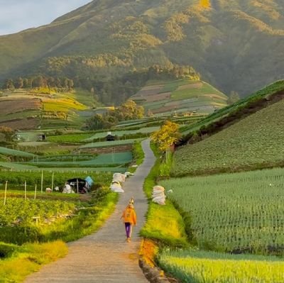 putrimalam6969's profile picture. 