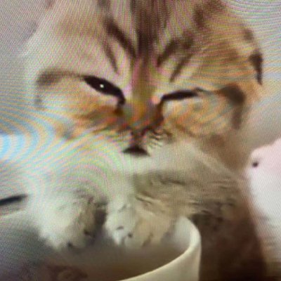 yl9991's profile picture. 