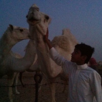 __s2t's profile picture. 