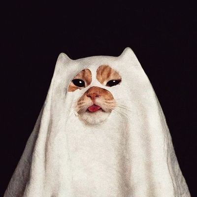 ooicarou's profile picture. I'm here for you - @angelssbecky @srchafreen @blackpink @pledis_17