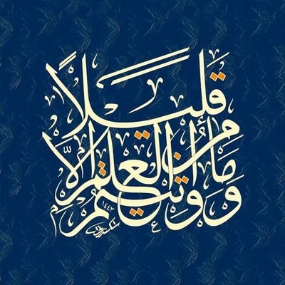 MahmoudZeidV7's profile picture. ⏳️