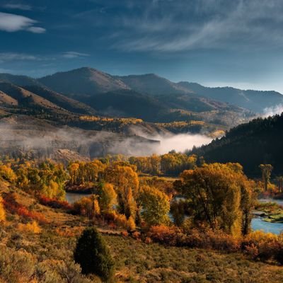 LisaMichae55722's profile picture. 