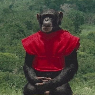 ricardofrifaire's profile picture. 12y REI DA SNIPER
| Jogador de @FreeFireBR |
Incel