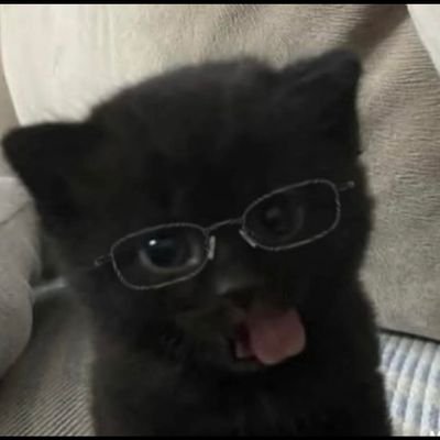 lanaadelreys909's profile picture. 