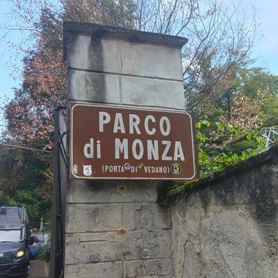 mission_takeshi's profile picture. filled with nature