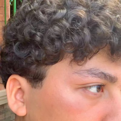 diegoilomilo's profile picture. 