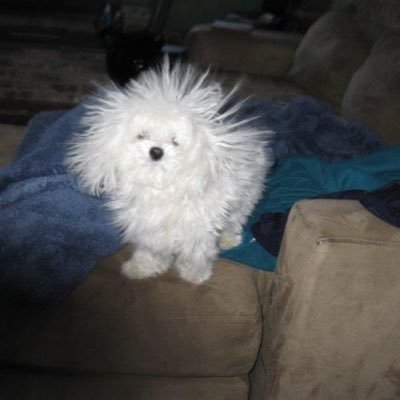 u1oo11's profile picture. 헤멘만큼내땅!!!