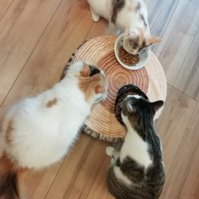 l192857l's profile picture. 何気ない日常を投稿しているだけのアカウントです