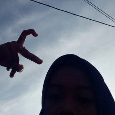 novitariski81's profile picture. 