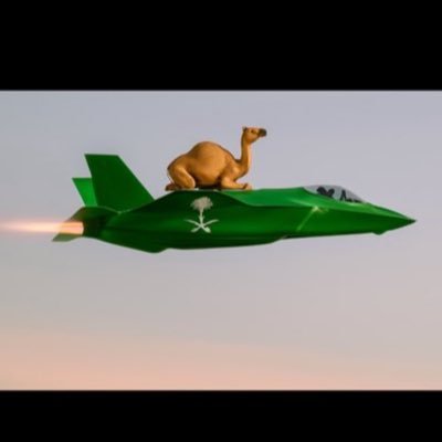 abukhalid1421aa's profile picture. وطني ومليكي خط أحمر وطن لانحميه لانستحق العيش فيه 🇸🇦🇸🇦🇸🇦🇸🇦