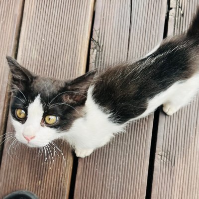 ____silly____'s profile picture. 