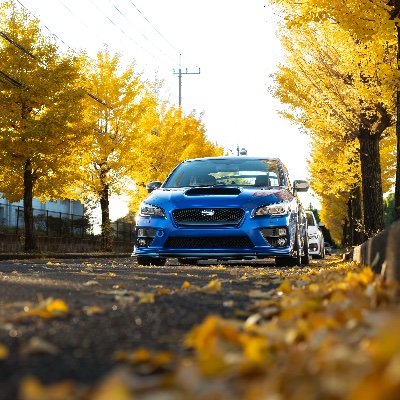 kai_555_vab's profile picture. freeman /Nikon zf / キャンプ/写真/ラーメン等々。
撮影の依頼受け付けております。流し撮りや置き撮り、ポートレート、記念撮影（要相談）、ストロボ撮影も可能です。一度 DMにてご相談ください。