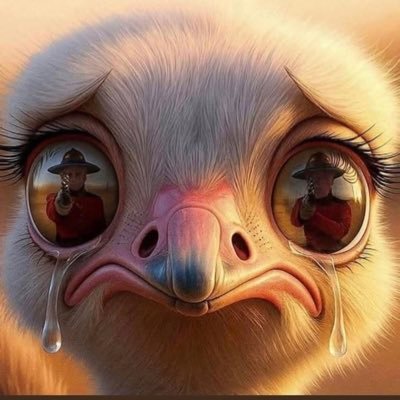 wordOnTheTweet9's profile picture. Just a girl who doesn’t trust govt, applying logic & seeking Truth 🇺🇸🇨🇦❤️ #BeholdAPaleHorse #ItsTime  (not questioning your leaders is unpatriotic)