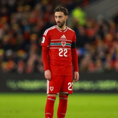 JoshSheehan_'s profile picture. @OfficialBWFC | @Cymru