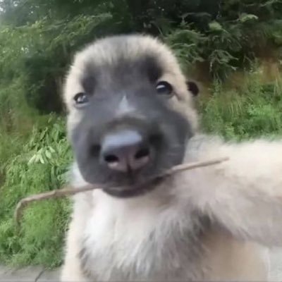 ggum313's profile picture. 개이득이지 씨이팔… 선배 나 놓치면 후회해! ㅤ