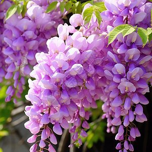 Qtkv_dy's profile picture. 小さな旅、小さな投資。積み重ねが未来を変えると信じて