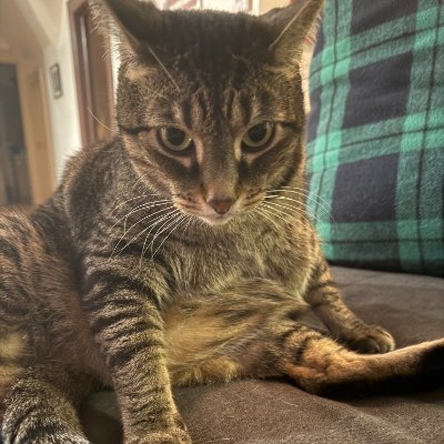 so92511's profile picture. 