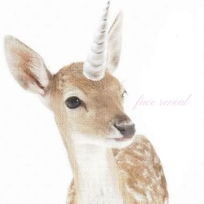 thuspixies's profile picture. ₊˚⊹ᰔ 17. she/her. ⋆˚✿˖°