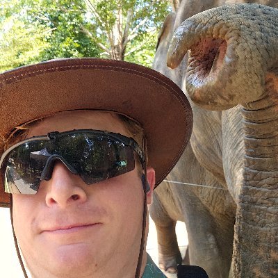 graydevlegion's profile picture. @gauntletai challenger, cohort 3. Polyglot, kind of. Applied daemonologist. Refactoring my entire approach to software.