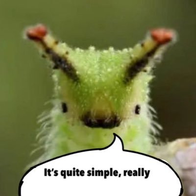 bugging_it_up's profile picture. Daily(?) bug facts from your favorite mcyt’s || !! THIS ACCOUNT POSTS BUG PHOTOS !!