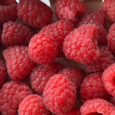 Ko_framboise_be's profile picture. KK→KK/Uni Köln (loan) 強み:なし 弱み:おねえさん