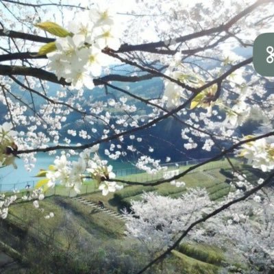 P90563879247's profile picture. 