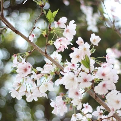 LJaeckle57713's profile picture. 