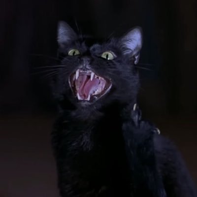 swipeforsin's profile picture. hi i’m unwell and you are too