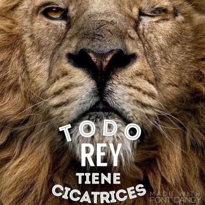 Irvingamp7's profile picture. Esposo de ANRP 👰 💪Padre de SEBASTIAN y SALVADOR 🚲 
Dios 🙏➕ Informática ➕ Ejercicio🏅 ➕ 🤖 Desarrollos y Automatizaciónes RPA - Full Stack 💛🖤